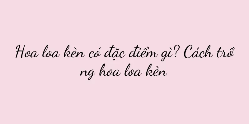 Hoa loa kèn có đặc điểm gì? Cách trồng hoa loa kèn