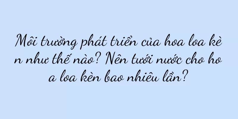 Môi trường phát triển của hoa loa kèn như thế nào? Nên tưới nước cho hoa loa kèn bao nhiêu lần?