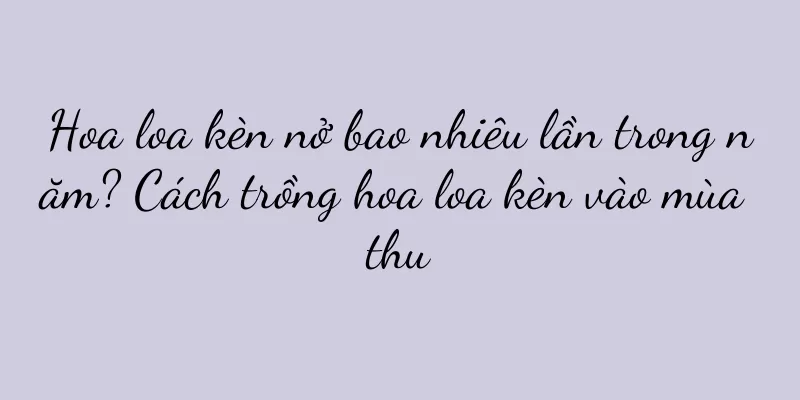 Hoa loa kèn nở bao nhiêu lần trong năm? Cách trồng hoa loa kèn vào mùa thu