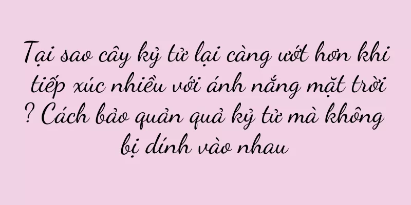 Tại sao cây kỷ tử lại càng ướt hơn khi tiếp xúc nhiều với ánh nắng mặt trời? Cách bảo quản quả kỷ tử mà không bị dính vào nhau