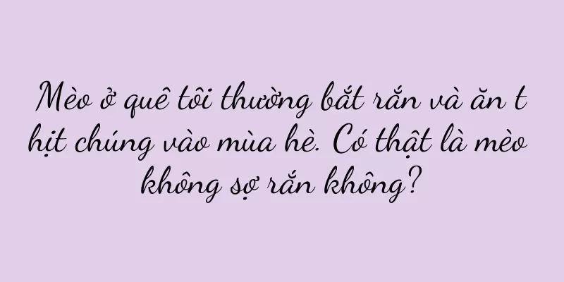 Mèo ở quê tôi thường bắt rắn và ăn thịt chúng vào mùa hè. Có thật là mèo không sợ rắn không?