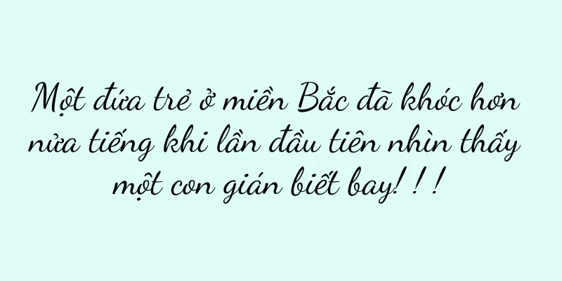 Một đứa trẻ ở miền Bắc đã khóc hơn nửa tiếng khi lần đầu tiên nhìn thấy một con gián biết bay! ! !