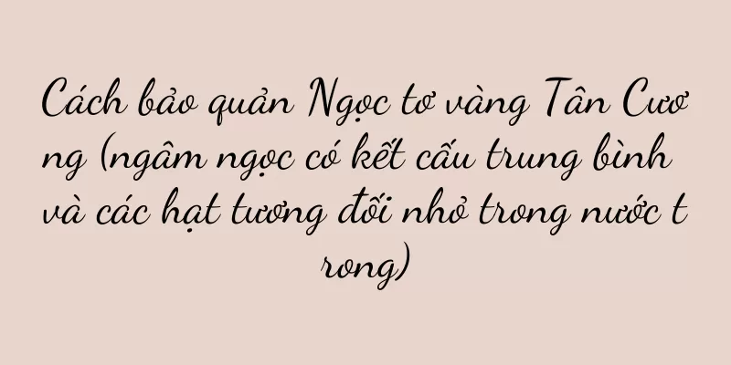 Cách bảo quản Ngọc tơ vàng Tân Cương (ngâm ngọc có kết cấu trung bình và các hạt tương đối nhỏ trong nước trong)