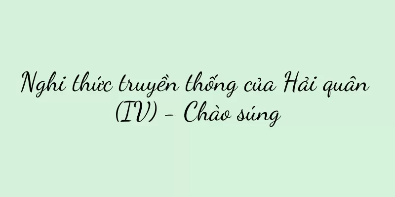 Nghi thức truyền thống của Hải quân (IV) - Chào súng