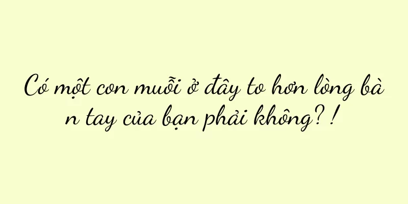 Có một con muỗi ở đây to hơn lòng bàn tay của bạn phải không? !