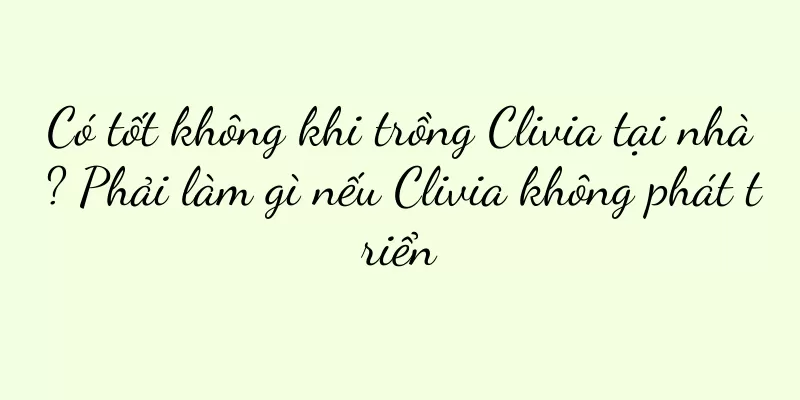 Có tốt không khi trồng Clivia tại nhà? Phải làm gì nếu Clivia không phát triển