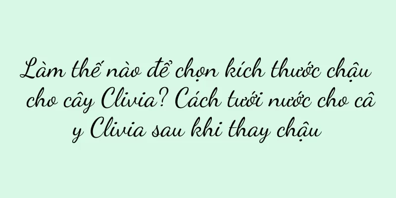 Làm thế nào để chọn kích thước chậu cho cây Clivia? Cách tưới nước cho cây Clivia sau khi thay chậu