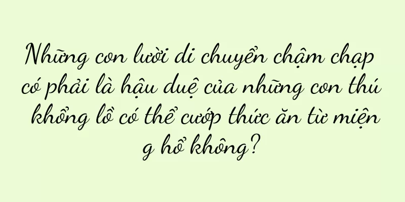 Những con lười di chuyển chậm chạp có phải là hậu duệ của những con thú khổng lồ có thể cướp thức ăn từ miệng hổ không?