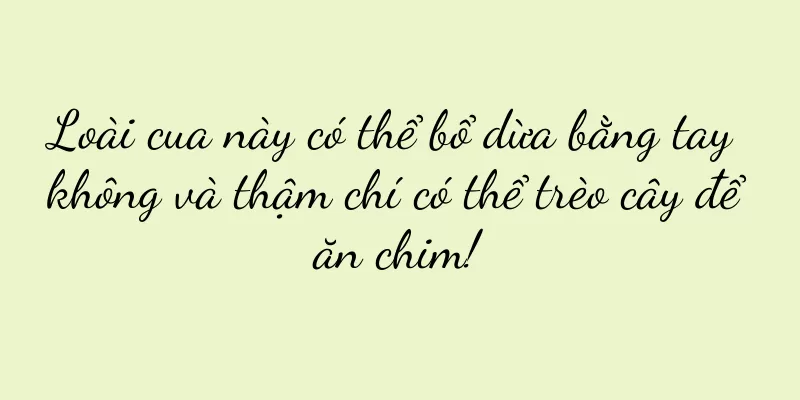Loài cua này có thể bổ dừa bằng tay không và thậm chí có thể trèo cây để ăn chim!