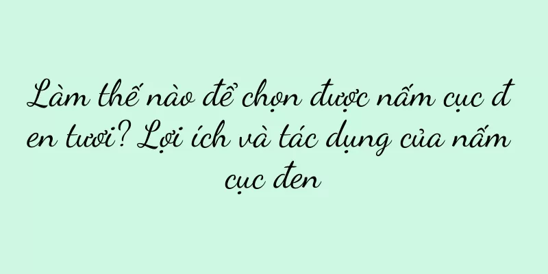 Làm thế nào để chọn được nấm cục đen tươi? Lợi ích và tác dụng của nấm cục đen