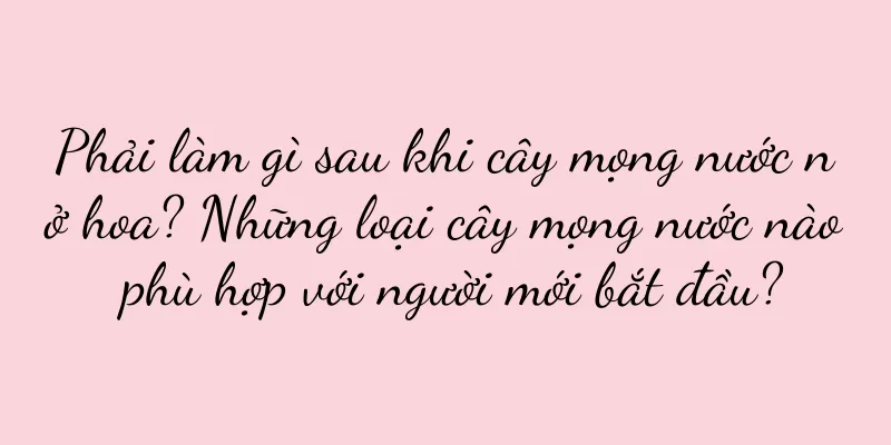 Phải làm gì sau khi cây mọng nước nở hoa? Những loại cây mọng nước nào phù hợp với người mới bắt đầu?