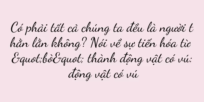 Có phải tất cả chúng ta đều là người thằn lằn không? Nói về sự tiến hóa từ "bò" thành động vật có vú: động vật có vú