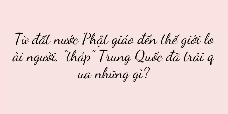 Từ đất nước Phật giáo đến thế giới loài người, “tháp” Trung Quốc đã trải qua những gì?