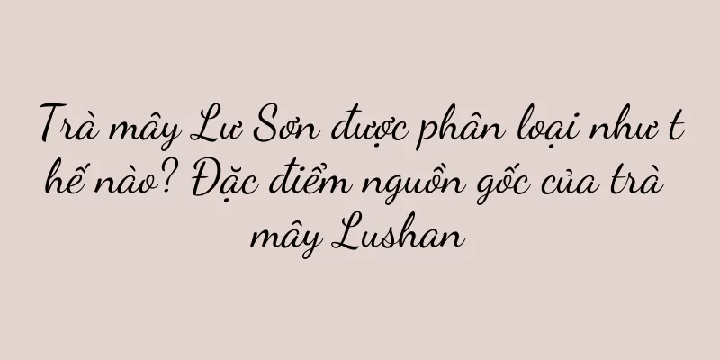 Trà mây Lư Sơn được phân loại như thế nào? Đặc điểm nguồn gốc của trà mây Lushan