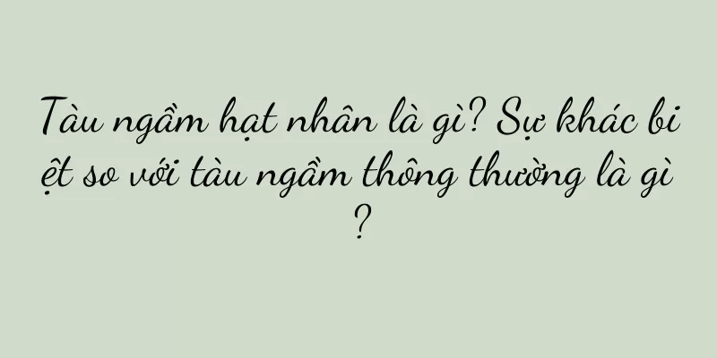 Tàu ngầm hạt nhân là gì? Sự khác biệt so với tàu ngầm thông thường là gì?