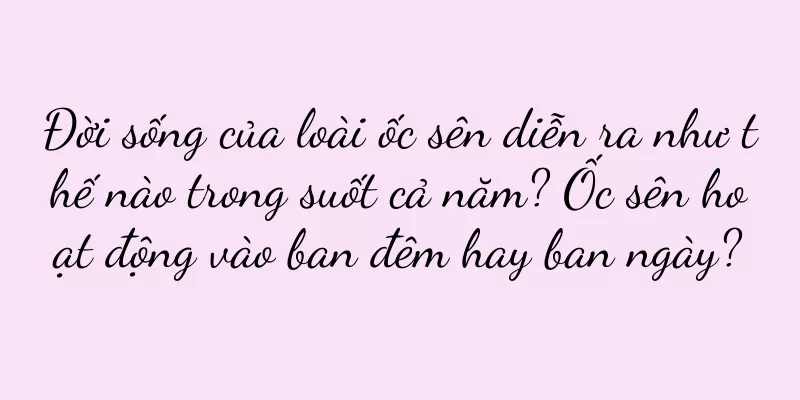 Đời sống của loài ốc sên diễn ra như thế nào trong suốt cả năm? Ốc sên hoạt động vào ban đêm hay ban ngày?