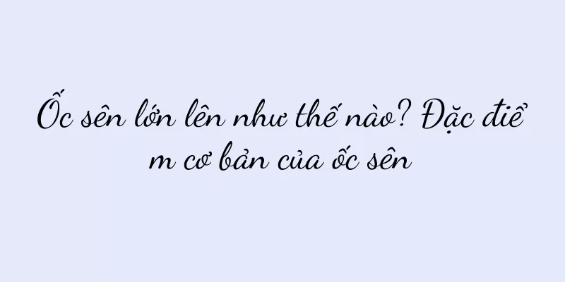 Ốc sên lớn lên như thế nào? Đặc điểm cơ bản của ốc sên