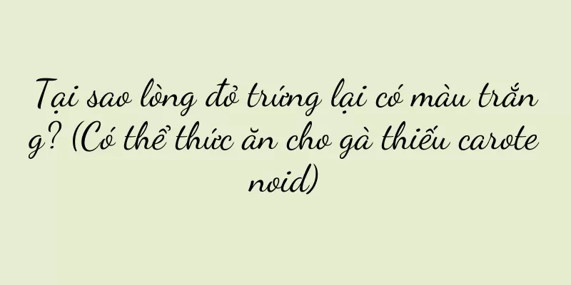 Tại sao lòng đỏ trứng lại có màu trắng? (Có thể thức ăn cho gà thiếu carotenoid)