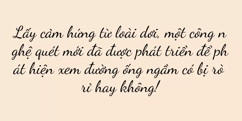 Lấy cảm hứng từ loài dơi, một công nghệ quét mới đã được phát triển để phát hiện xem đường ống ngầm có bị rò rỉ hay không!