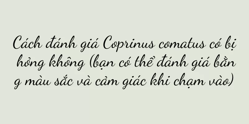 Cách đánh giá Coprinus comatus có bị hỏng không (bạn có thể đánh giá bằng màu sắc và cảm giác khi chạm vào)
