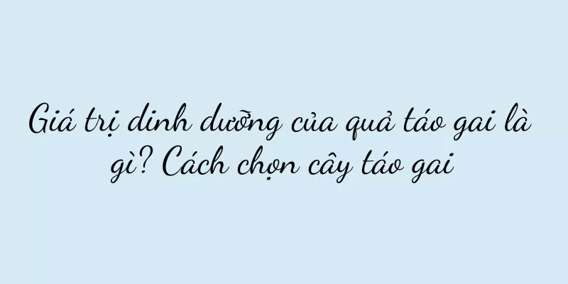 Giá trị dinh dưỡng của quả táo gai là gì? Cách chọn cây táo gai