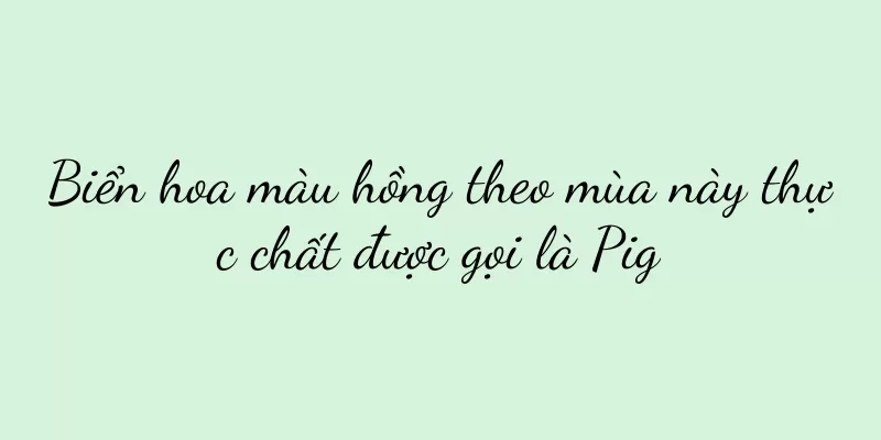 Biển hoa màu hồng theo mùa này thực chất được gọi là Pig