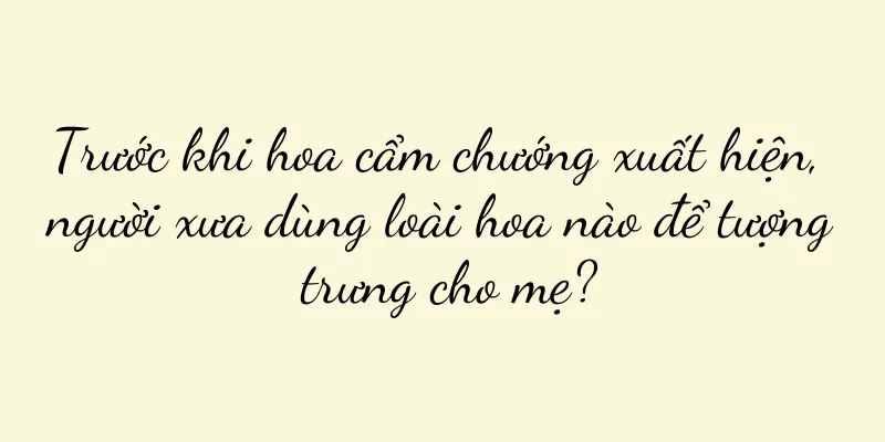 Trước khi hoa cẩm chướng xuất hiện, người xưa dùng loài hoa nào để tượng trưng cho mẹ?