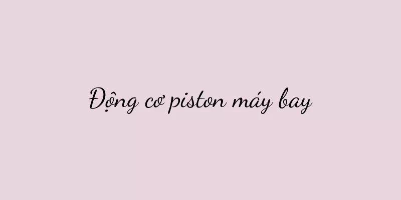 Động cơ piston máy bay