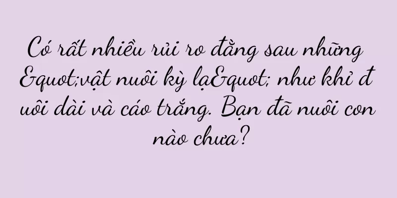 Có rất nhiều rủi ro đằng sau những "vật nuôi kỳ lạ" như khỉ đuôi dài và cáo trắng. Bạn đã nuôi con nào chưa?