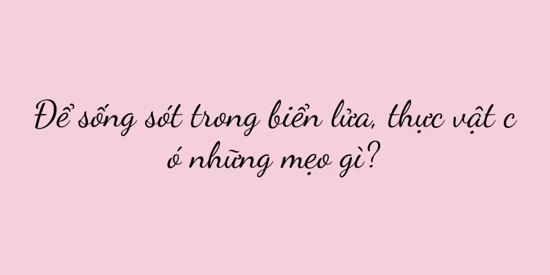Để sống sót trong biển lửa, thực vật có những mẹo gì?