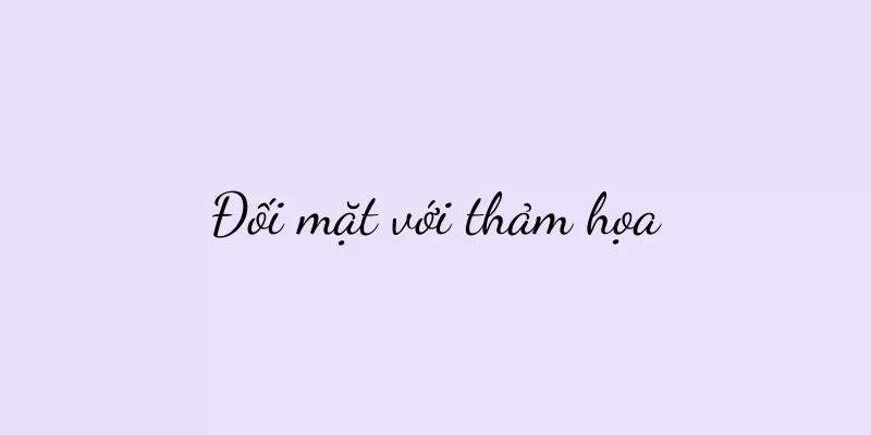 Đối mặt với thảm họa