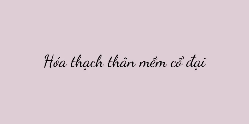Hóa thạch thân mềm cổ đại