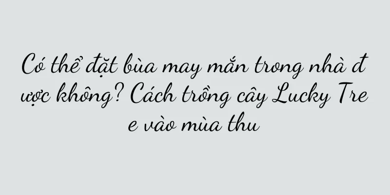 Có thể đặt bùa may mắn trong nhà được không? Cách trồng cây Lucky Tree vào mùa thu