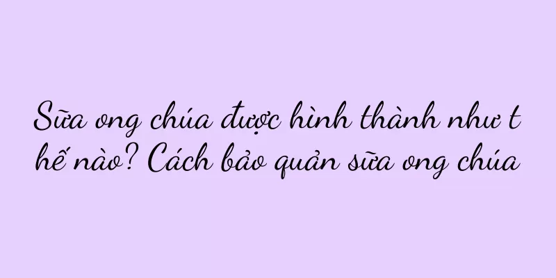 Sữa ong chúa được hình thành như thế nào? Cách bảo quản sữa ong chúa