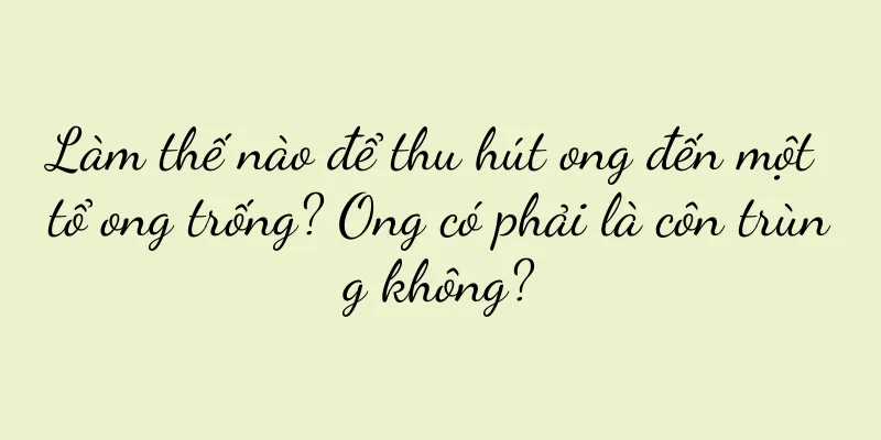 Làm thế nào để thu hút ong đến một tổ ong trống? Ong có phải là côn trùng không?