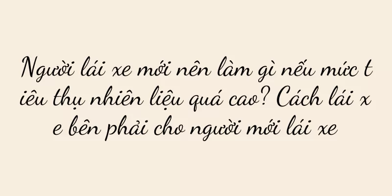 Người lái xe mới nên làm gì nếu mức tiêu thụ nhiên liệu quá cao? Cách lái xe bên phải cho người mới lái xe