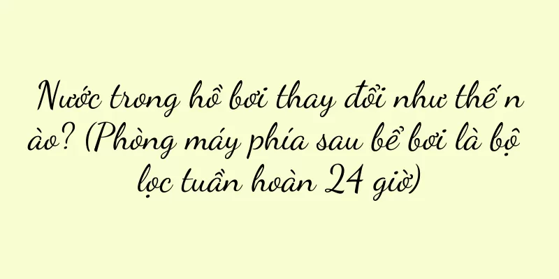 Nước trong hồ bơi thay đổi như thế nào? (Phòng máy phía sau bể bơi là bộ lọc tuần hoàn 24 giờ)