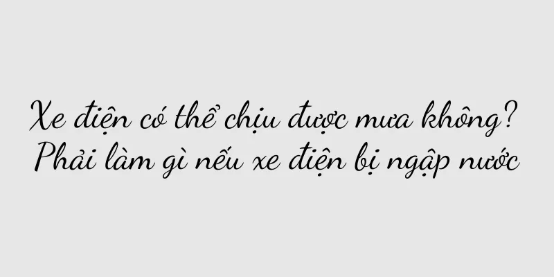 Xe điện có thể chịu được mưa không? Phải làm gì nếu xe điện bị ngập nước