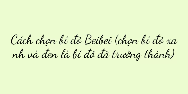 Cách chọn bí đỏ Beibei (chọn bí đỏ xanh và đen là bí đỏ đã trưởng thành)