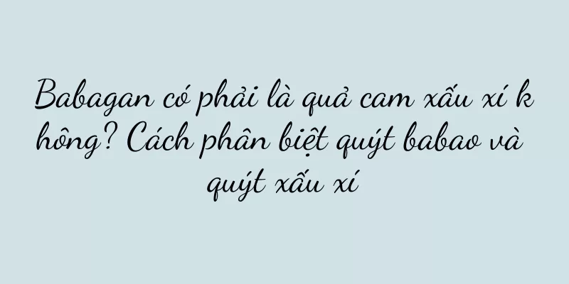 Babagan có phải là quả cam xấu xí không? Cách phân biệt quýt babao và quýt xấu xí