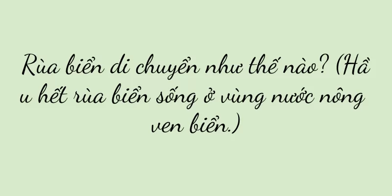 Rùa biển di chuyển như thế nào? (Hầu hết rùa biển sống ở vùng nước nông ven biển.)
