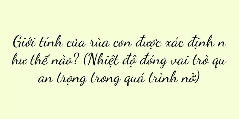 Giới tính của rùa con được xác định như thế nào? (Nhiệt độ đóng vai trò quan trọng trong quá trình nở)