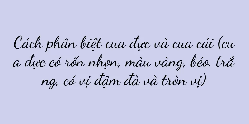 Cách phân biệt cua đực và cua cái (cua đực có rốn nhọn, màu vàng, béo, trắng, có vị đậm đà và tròn vị)