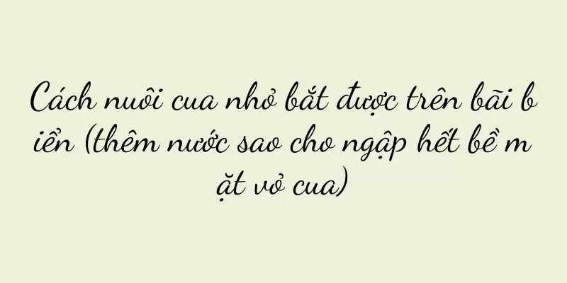 Cách nuôi cua nhỏ bắt được trên bãi biển (thêm nước sao cho ngập hết bề mặt vỏ cua)