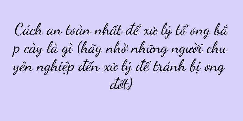 Cách an toàn nhất để xử lý tổ ong bắp cày là gì (hãy nhờ những người chuyên nghiệp đến xử lý để tránh bị ong đốt)