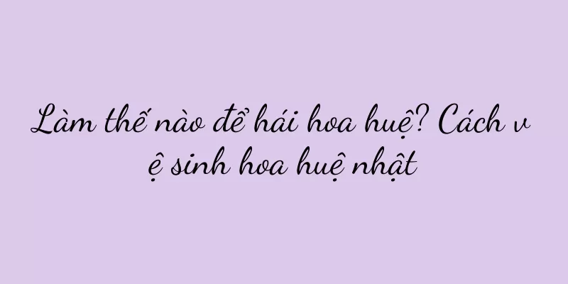 Làm thế nào để hái hoa huệ? Cách vệ sinh hoa huệ nhật