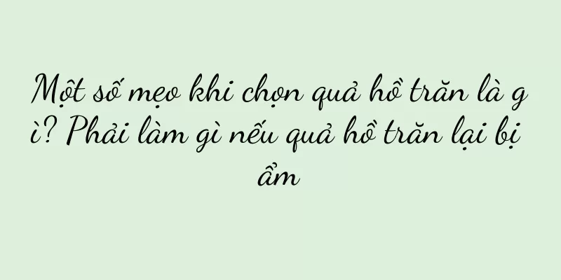 Một số mẹo khi chọn quả hồ trăn là gì? Phải làm gì nếu quả hồ trăn lại bị ẩm