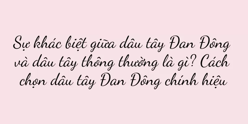 Sự khác biệt giữa dâu tây Đan Đông và dâu tây thông thường là gì? Cách chọn dâu tây Đan Đông chính hiệu