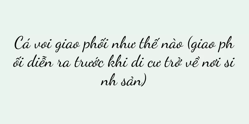 Cá voi giao phối như thế nào (giao phối diễn ra trước khi di cư trở về nơi sinh sản)