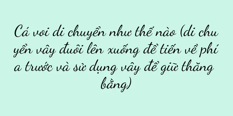Cá voi di chuyển như thế nào (di chuyển vây đuôi lên xuống để tiến về phía trước và sử dụng vây để giữ thăng bằng)